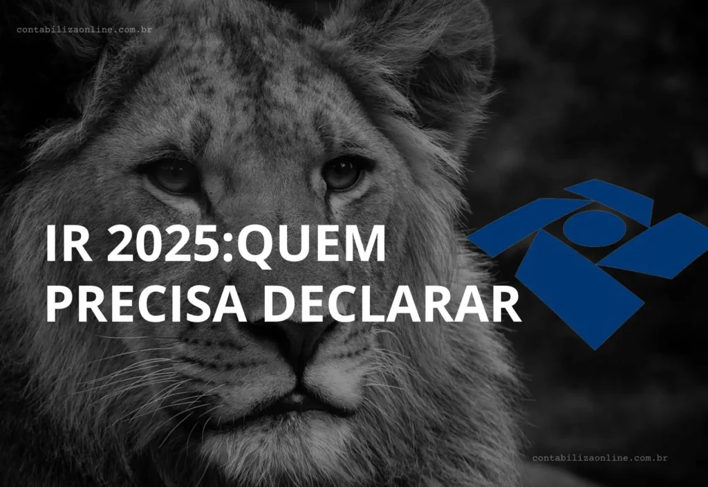 Imposto de Renda 2025: Quem precisa declarar